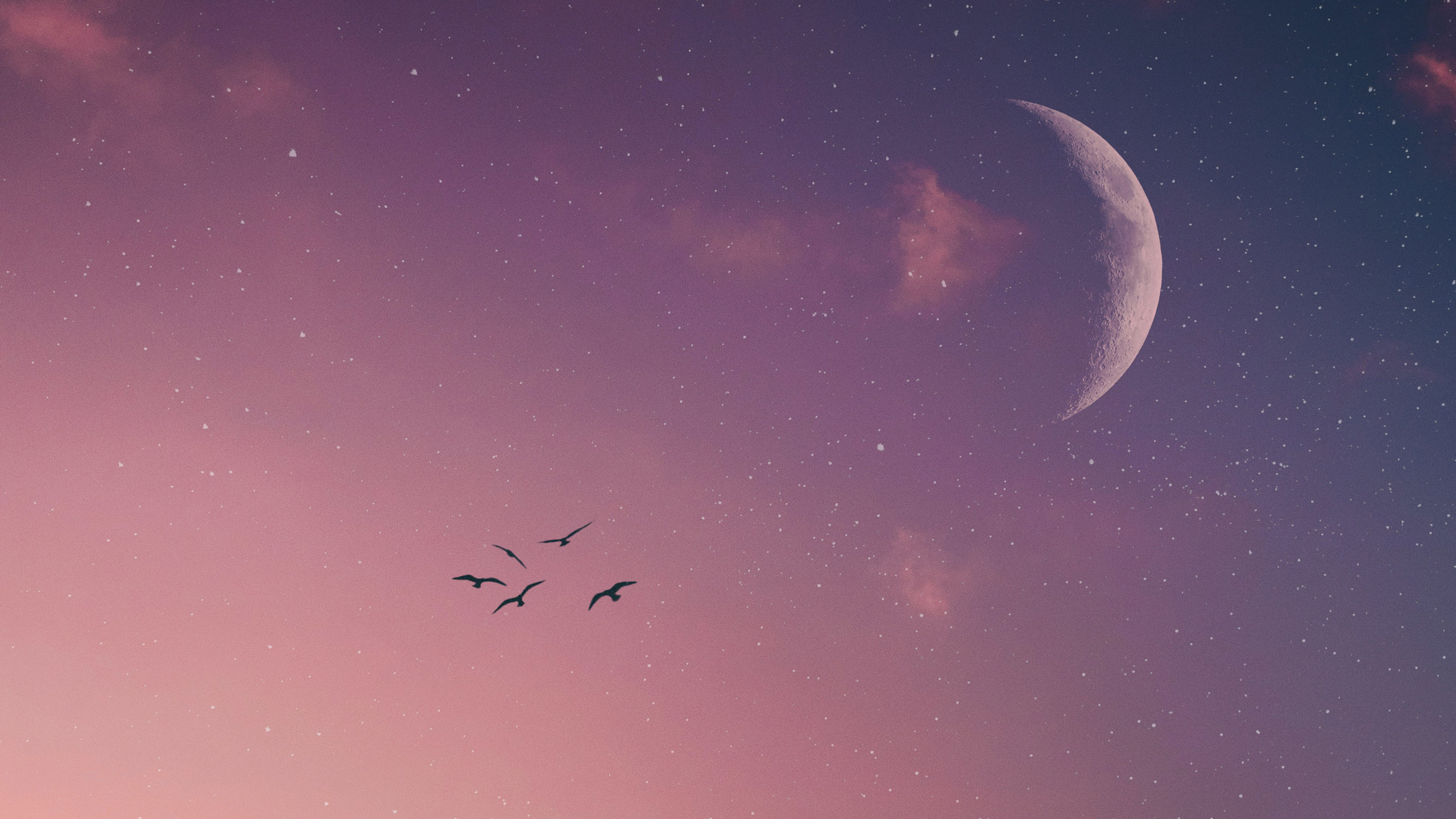 Rosa Himmel mit Sternen, Vögeln und Mondsichel